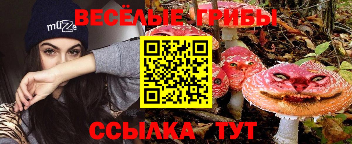 Псилоцибиновые грибы MAGIC MUSHROOMS Богданович