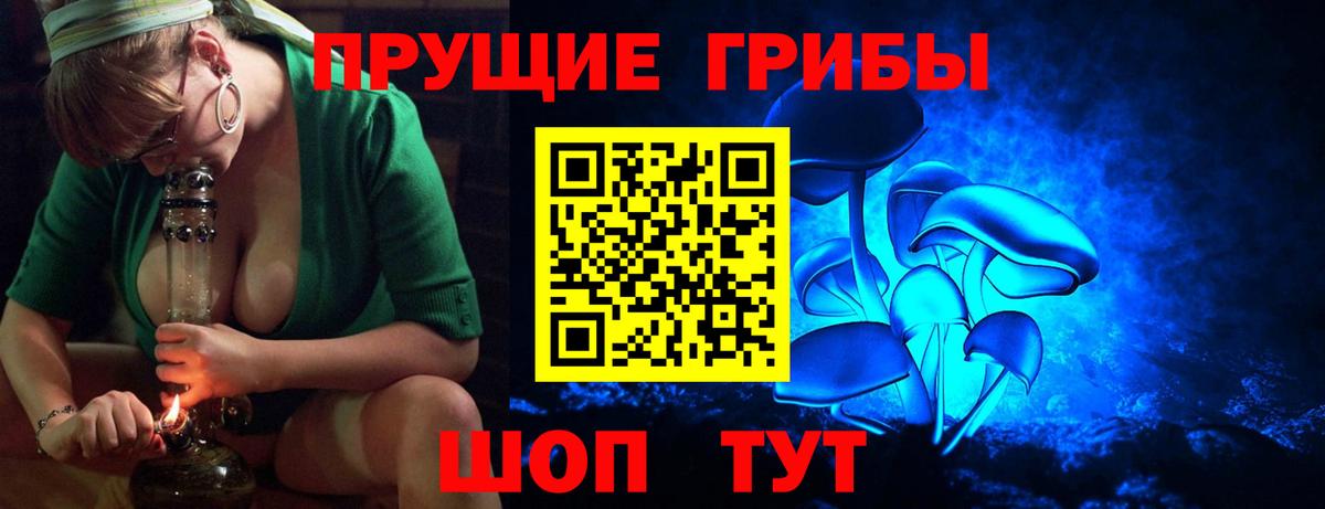 Галлюциногенные грибы GOLDEN TEACHER Богданович